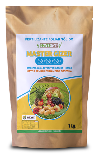 [01.02.01.01.01] INAVET FERTIL - MASTER GIZER 20-20-20 - 1KG